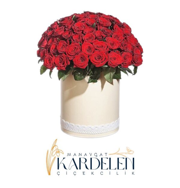 Kutuda-51-Adet-Kirmizi-Guller