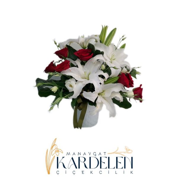 Seramik-Saksıda-Kazablanka-Gul