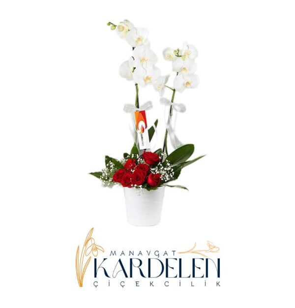 7-Adet-Gullu-Orkide-Arajmani