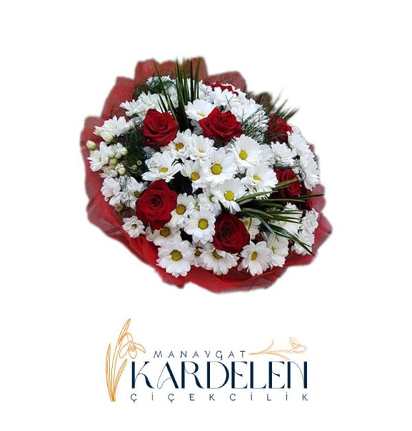 7-Adet-Kirmizi-Gul-ve-Papatyalar