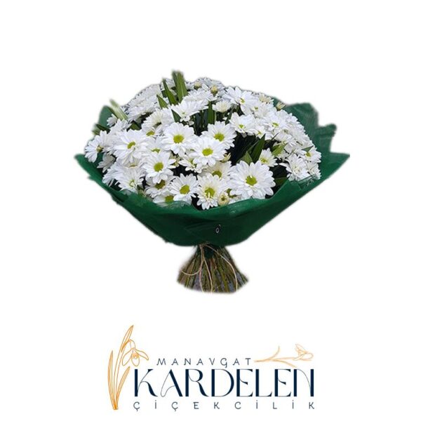 Beyaz-Papatya-Demeti