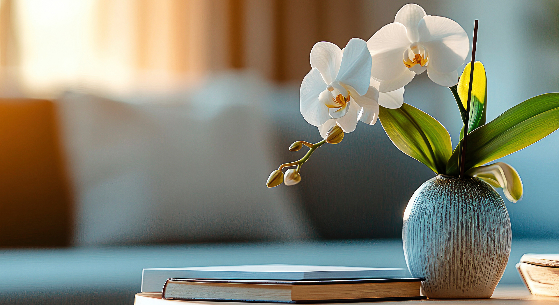 Image Slider