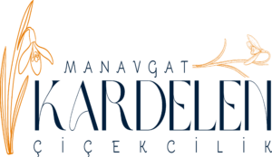 Manavgat Çiçek Siparişi | Kardelen Çiçekçilik